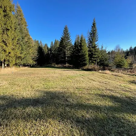 Jelka Tatranska Strba