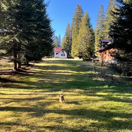 Jelka Tatranska Strba